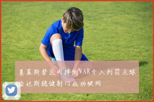 基莱斯禁区内摔倒VAR介入判罚点球哈达斯稳健射门成功破网