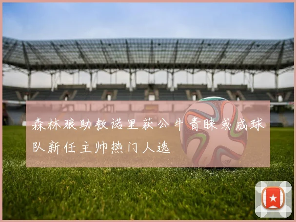 森林狼助教诺里获公牛青睐或成球队新任主帅热门人选
